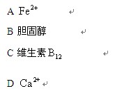 2015考研西医综合真题