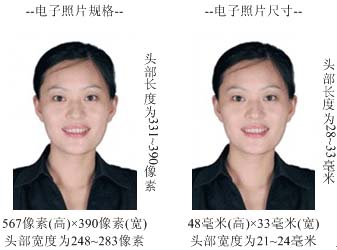 电子照片图样